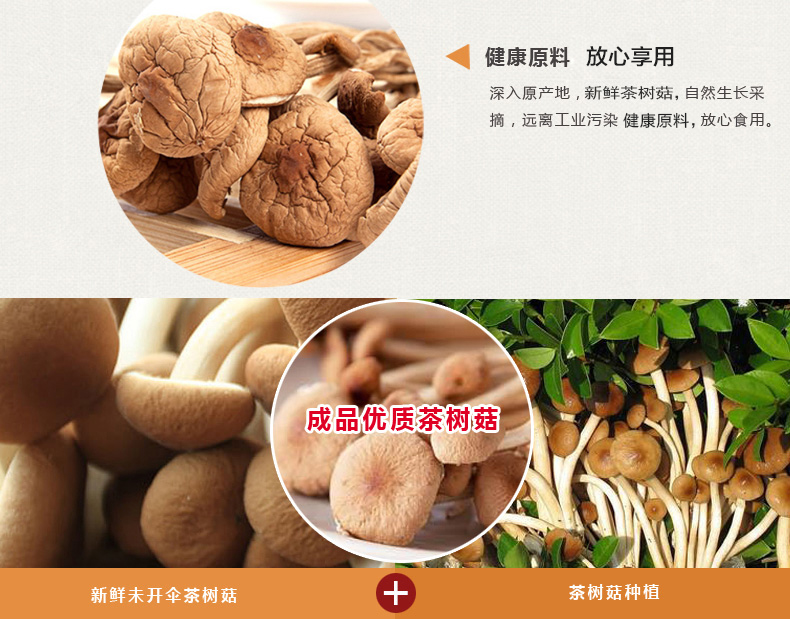 琼彬茶树菇 不开伞干货剪根食用菌菇200克-第4张-详情图片